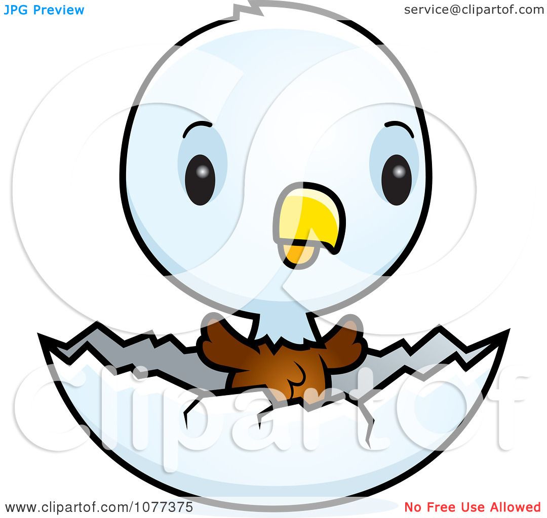 Baby Eagle Drawing at GetDrawings Free download