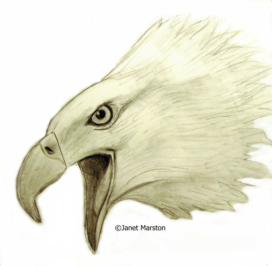 Bald Eagle Easy Drawing at GetDrawings Free download
