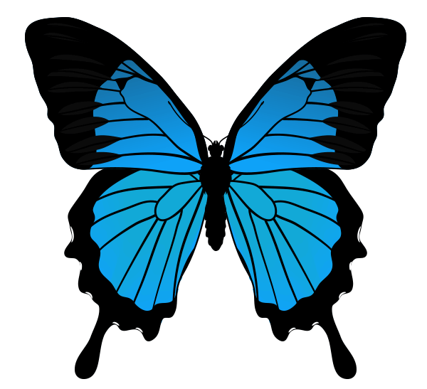 Blue Butterfly Drawing at GetDrawings Free download