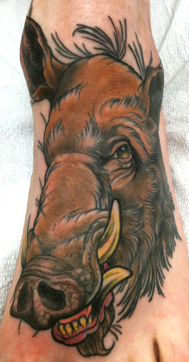 Boar Head Drawing at GetDrawings Free download