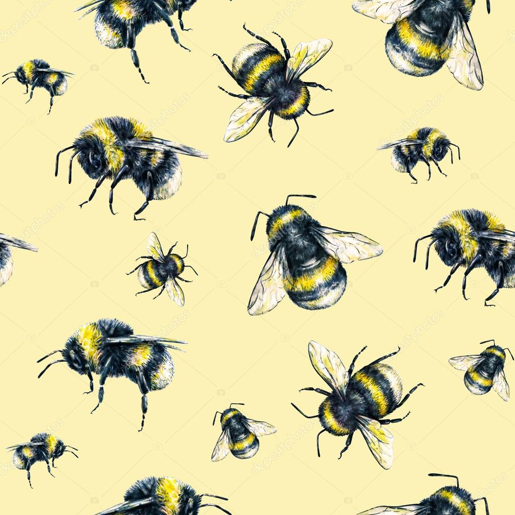Bumblebee Insect Drawing at GetDrawings Free download