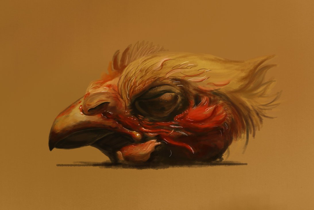 Chicken Head Drawing at GetDrawings Free download