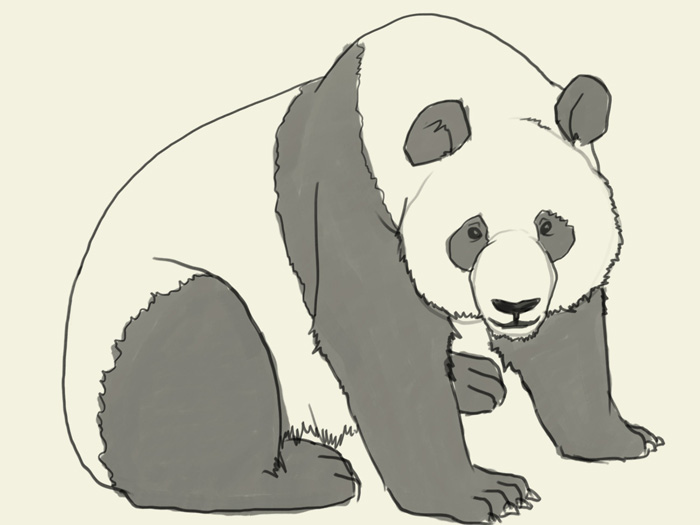 Cool Panda Drawing at GetDrawings Free download