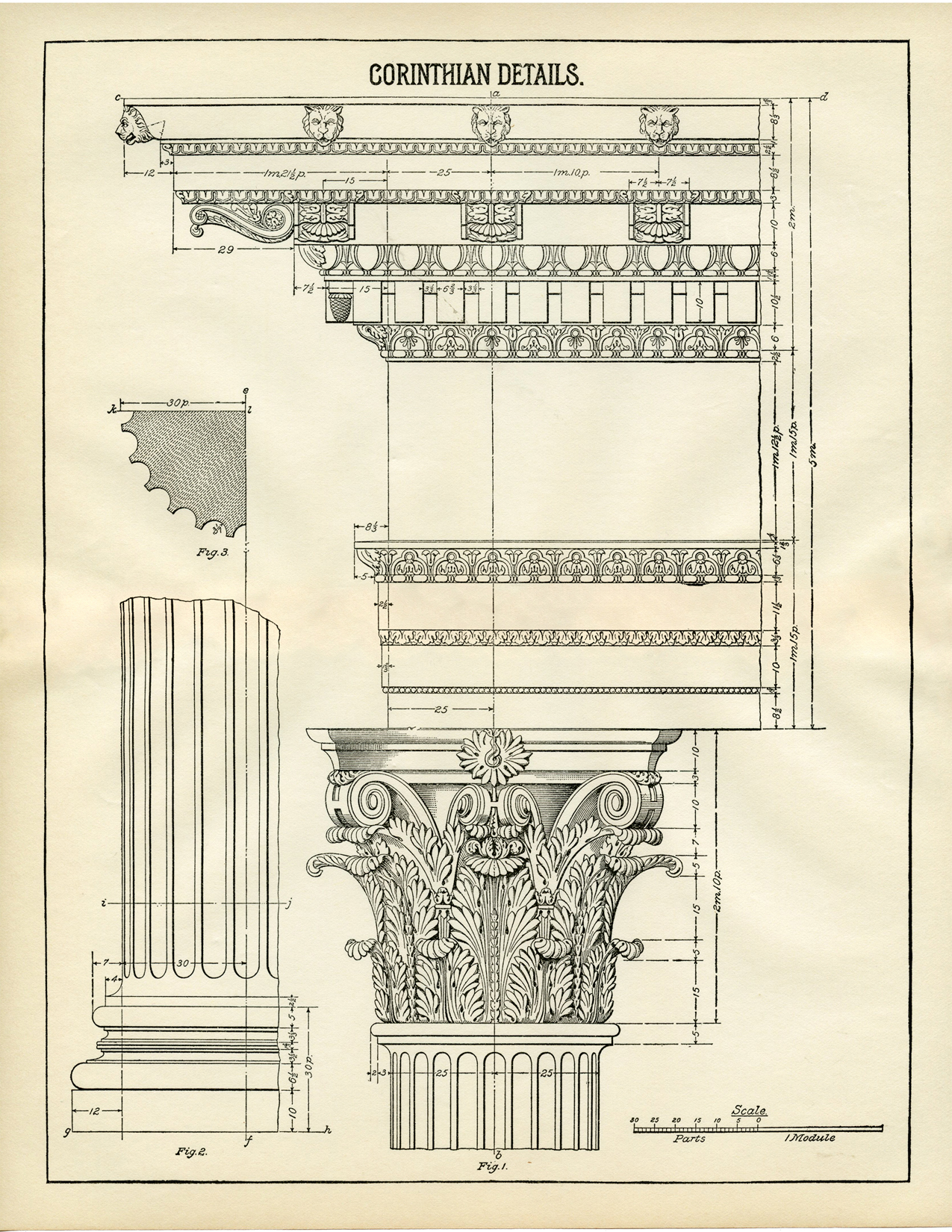 Corinthian Columns Drawing at GetDrawings Free download