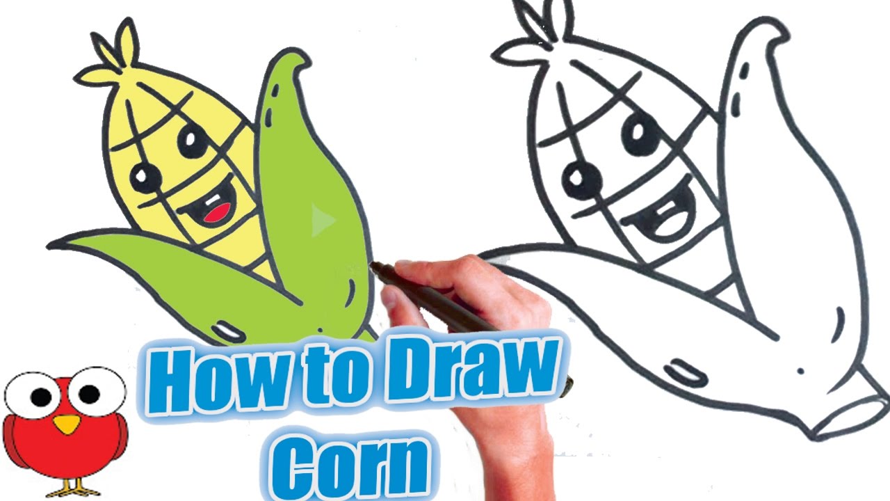 Corn Cob Drawing at GetDrawings Free download