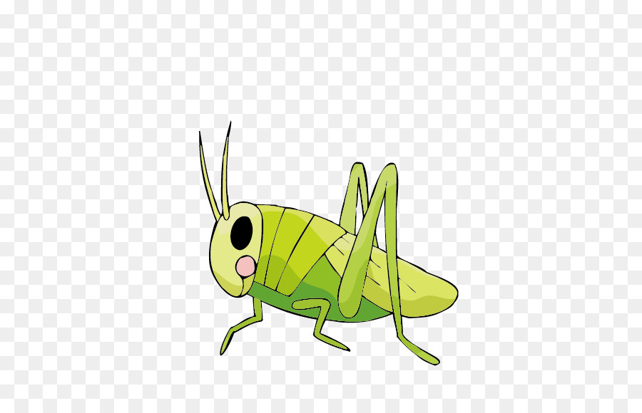 The best free Locust drawing images. Download from 49 free drawings of Locust at GetDrawings