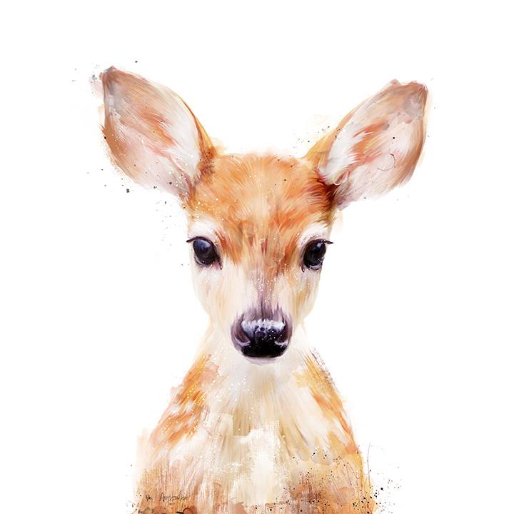 Deer Face Drawing at GetDrawings Free download