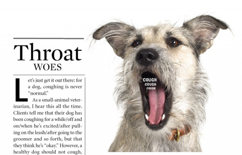 Dog Barking Drawing at GetDrawings Free download