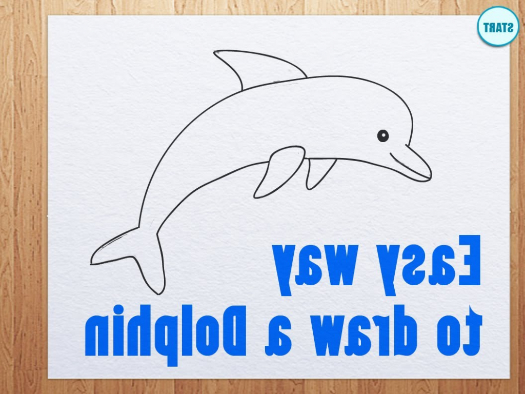 Dolphin Drawing Easy at GetDrawings Free download