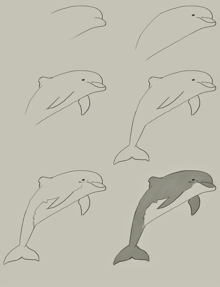 Dolphin Jumping Drawing at GetDrawings Free download