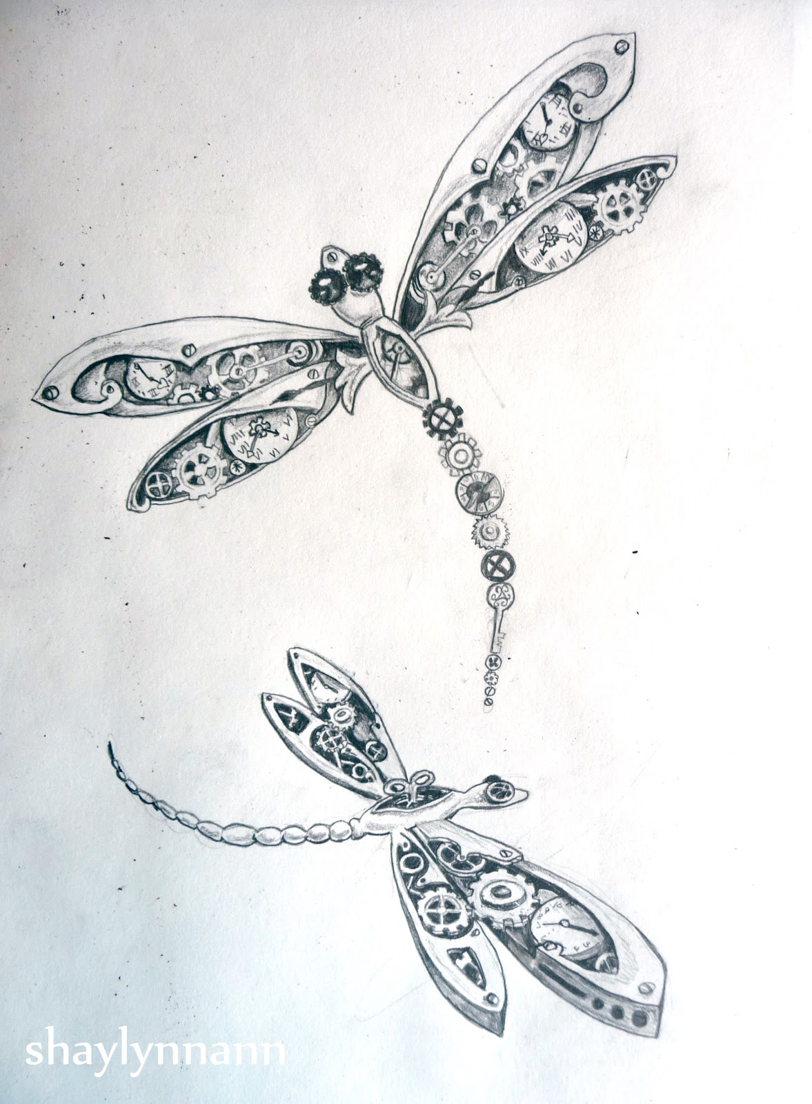 Dragonfly Pencil Drawing at GetDrawings Free download