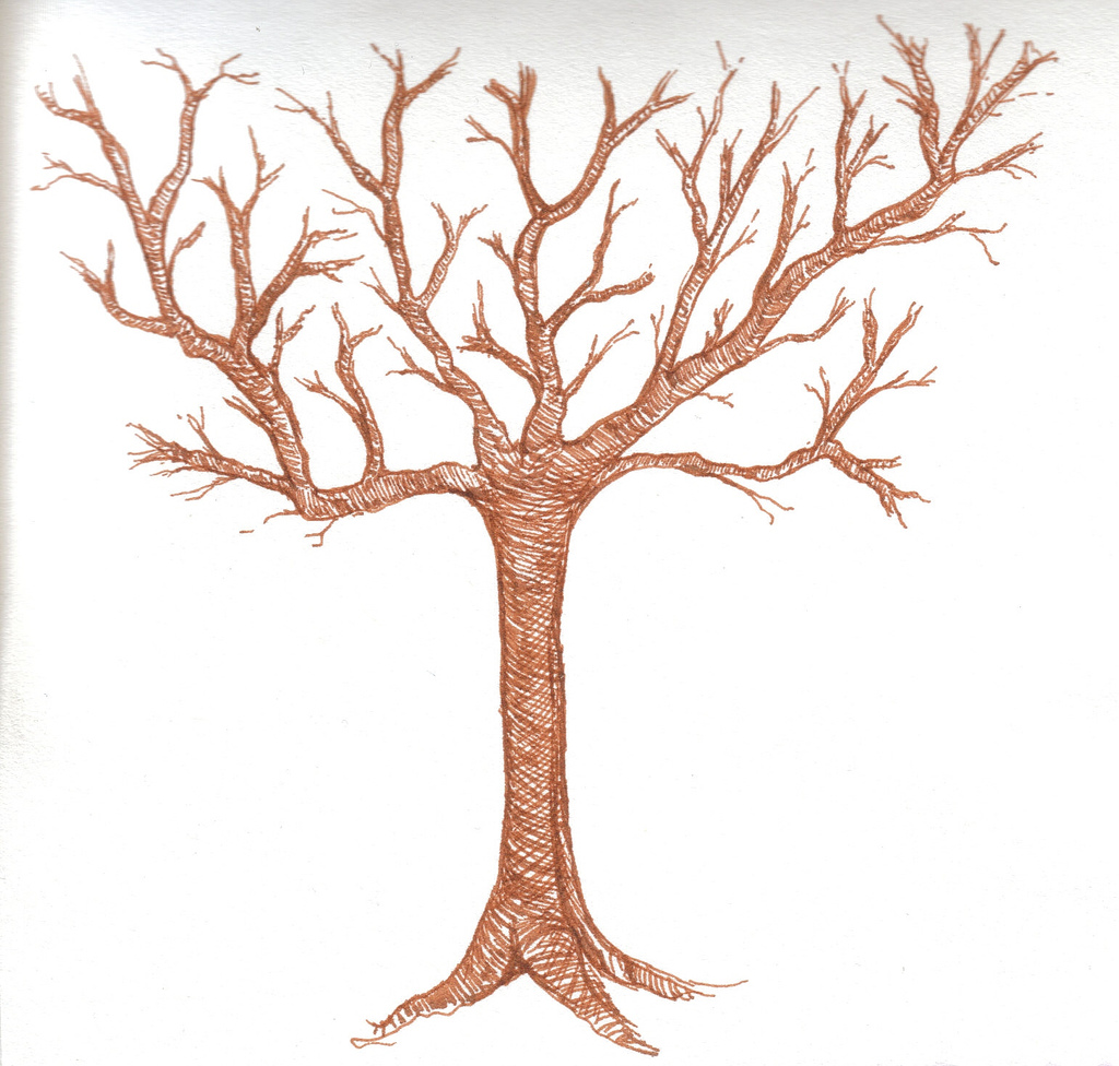 Easy Tree Drawing at GetDrawings Free download