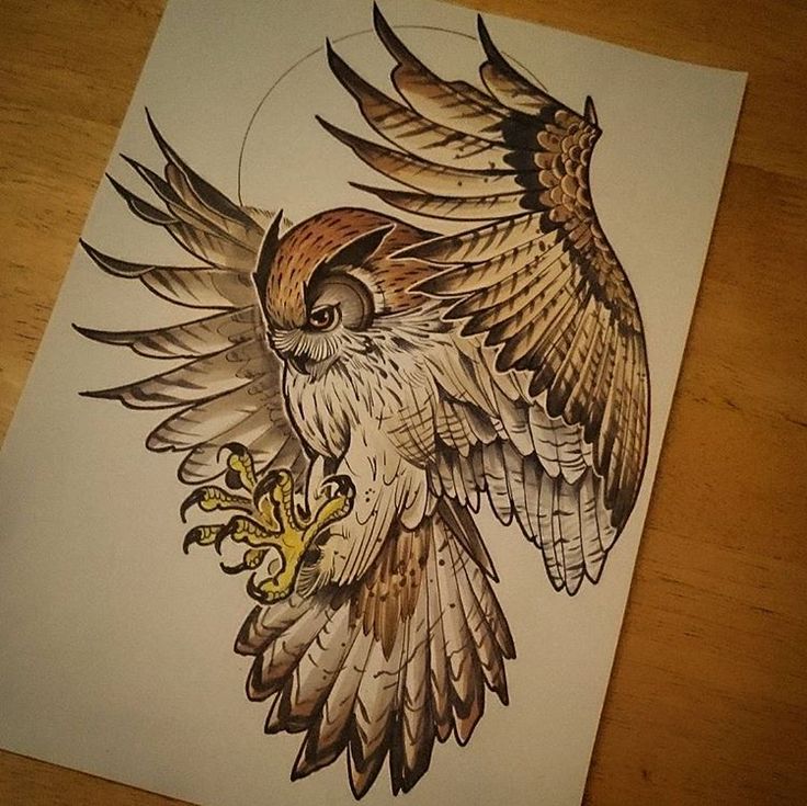 Evil Owl Drawing at GetDrawings Free download