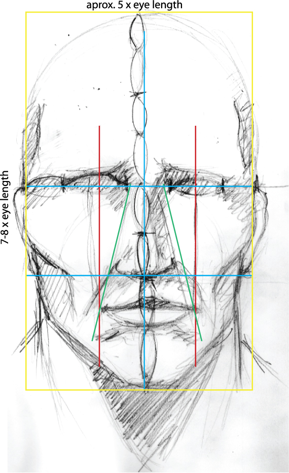 Face Proportion Drawing at GetDrawings Free download