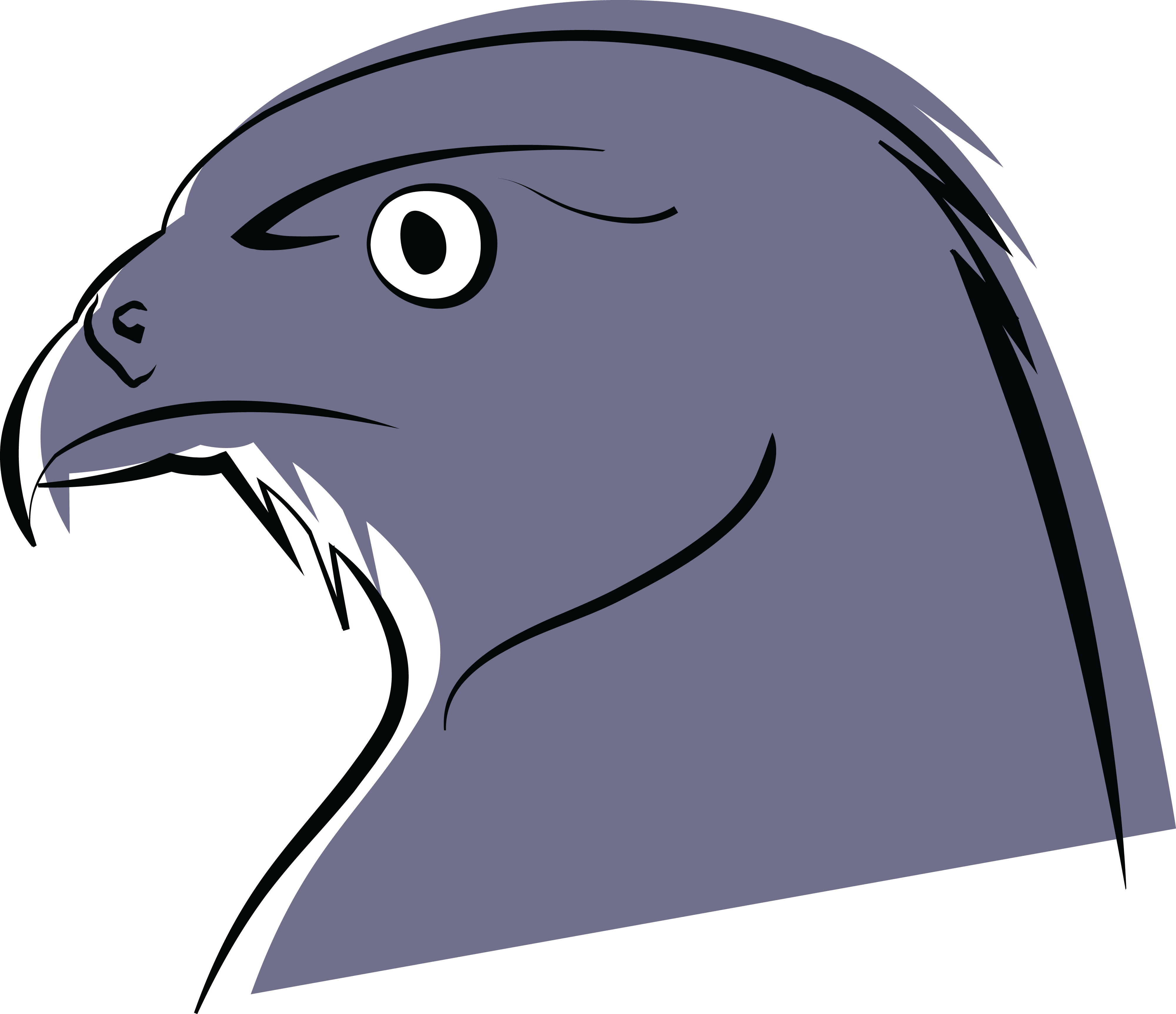 Falcon Head Drawing at GetDrawings Free download