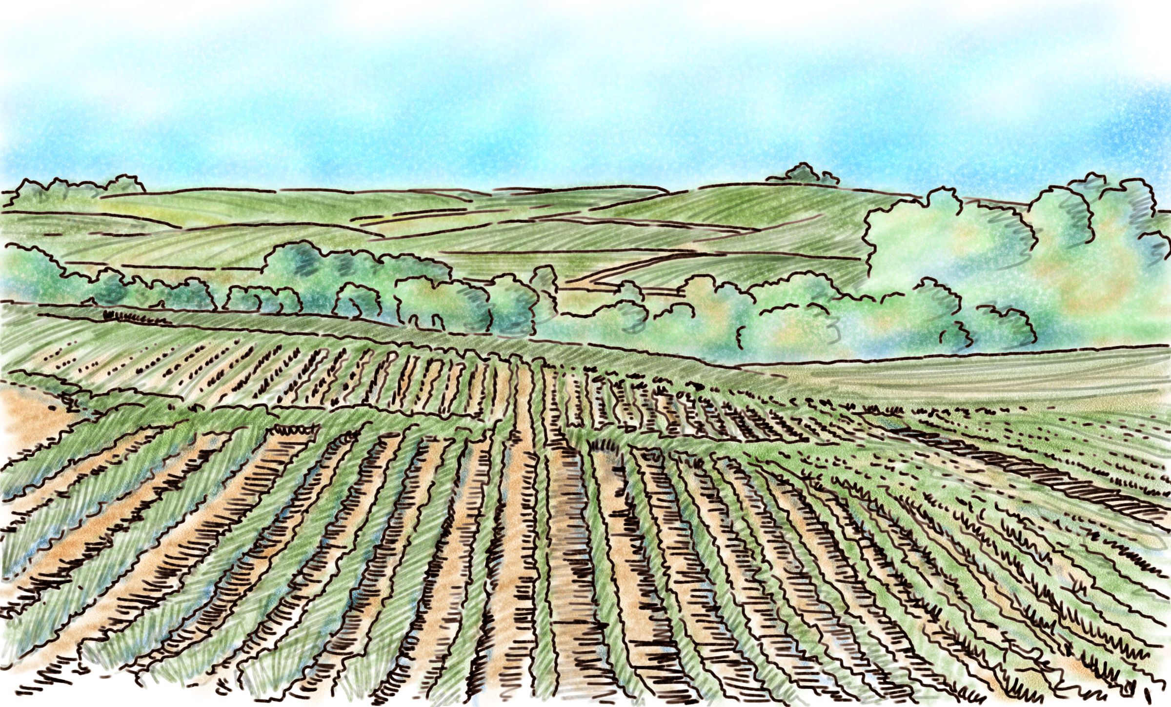 Fields Drawing at GetDrawings Free download