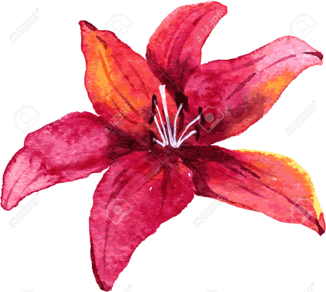 Flower Drawing Vector at GetDrawings Free download