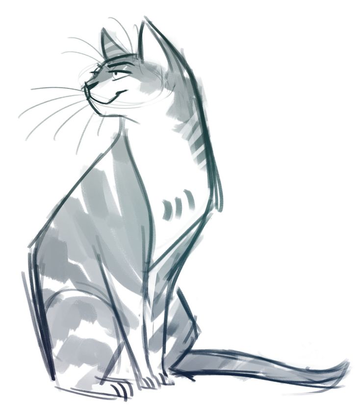 Fluffy Cat Drawing at GetDrawings Free download