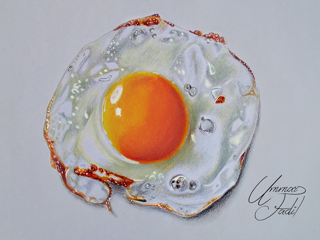 Fried Egg Drawing at GetDrawings Free download