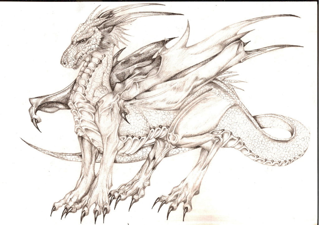 Full Dragon Drawing at GetDrawings Free download