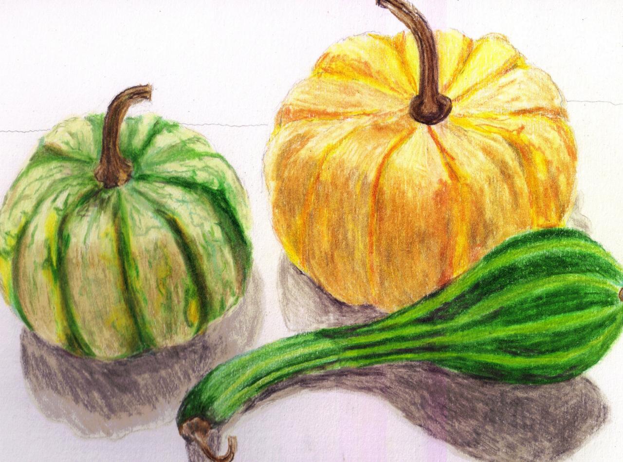 Gourd Drawing at GetDrawings Free download