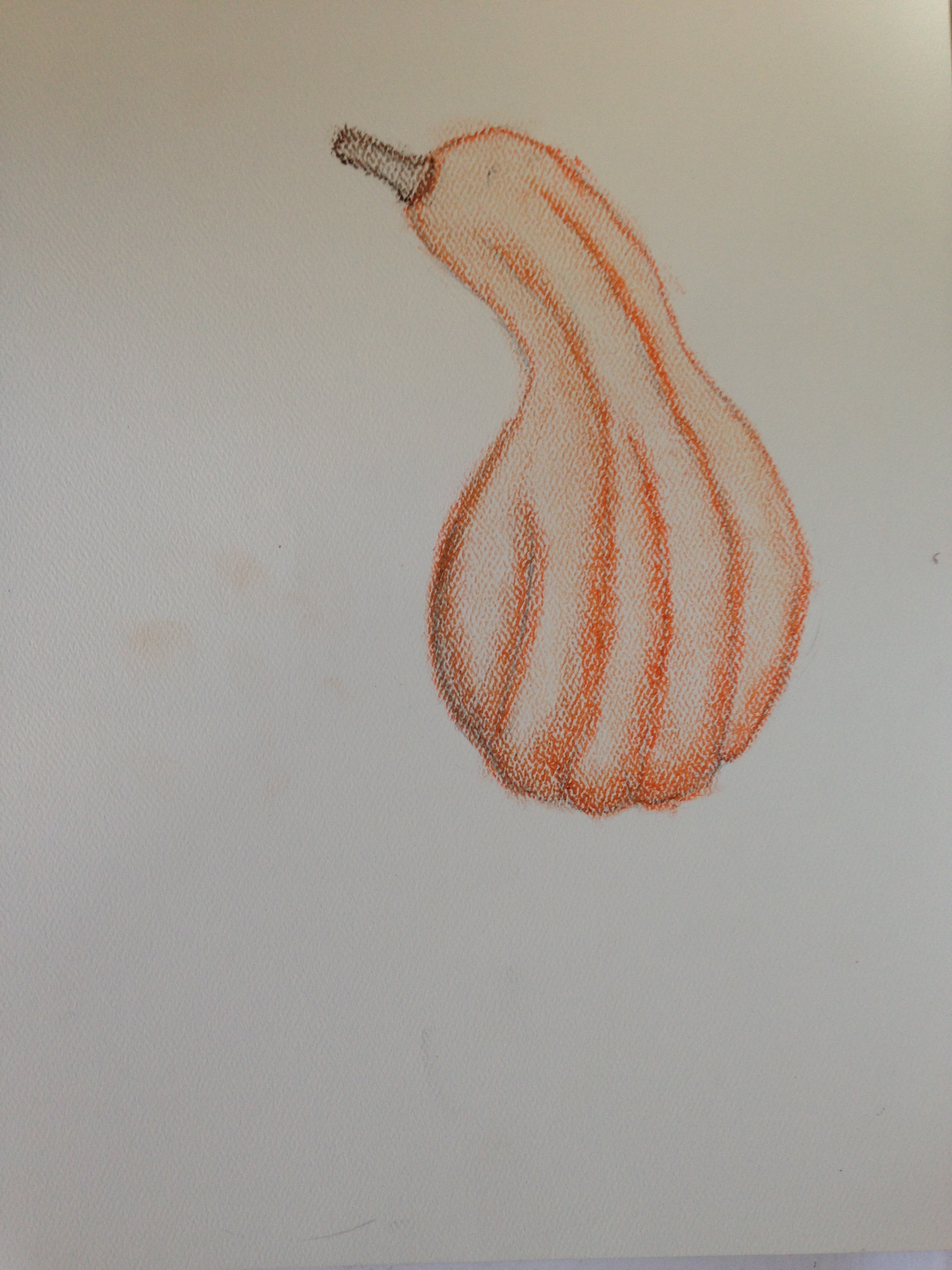 Gourd Drawing at GetDrawings Free download
