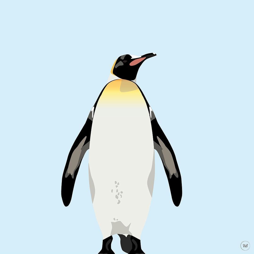 King Penguin Drawing at GetDrawings Free download