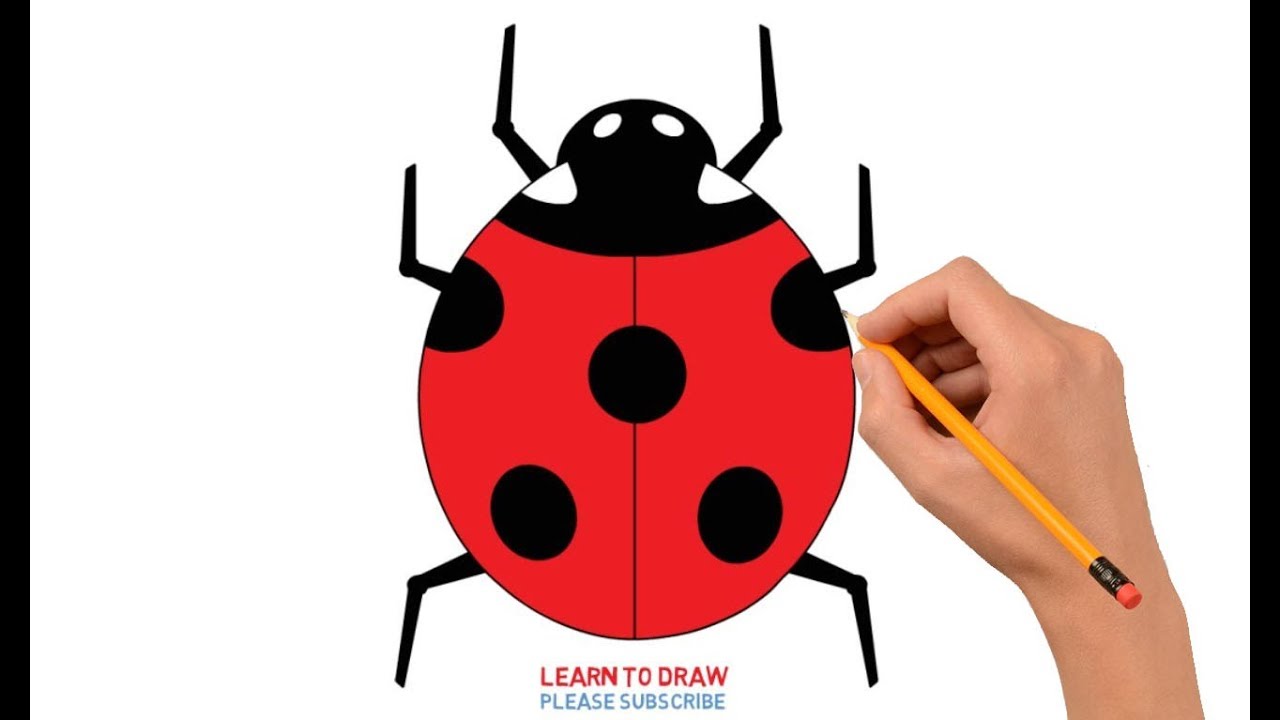 Ladybug Drawing Step By Step at GetDrawings Free download