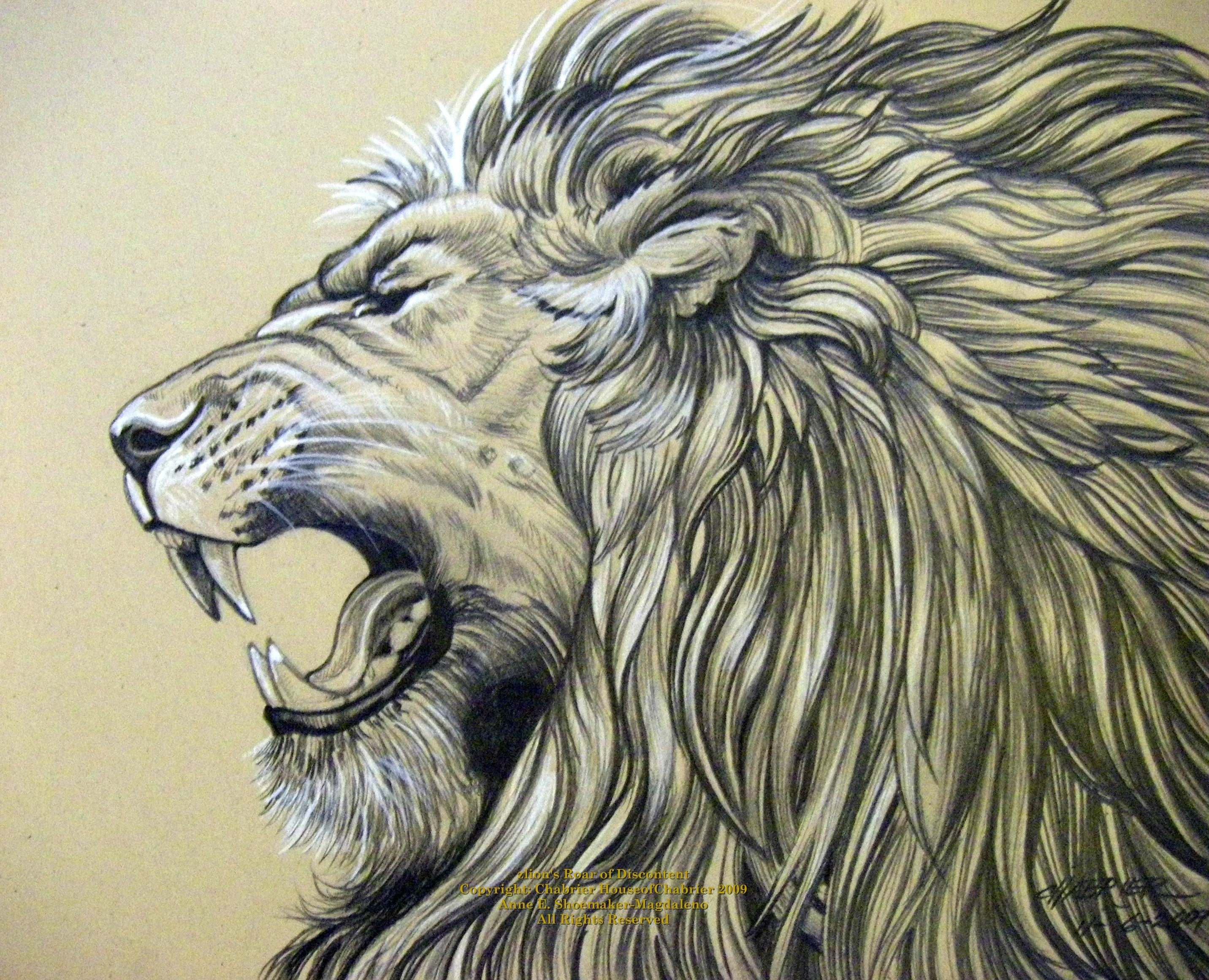 Lion Realistic Drawing at GetDrawings Free download