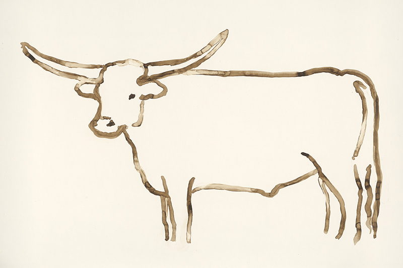 Longhorns Drawing at GetDrawings Free download