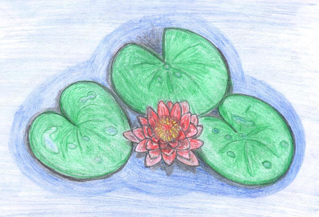 Lotus Leaf Drawing at GetDrawings Free download