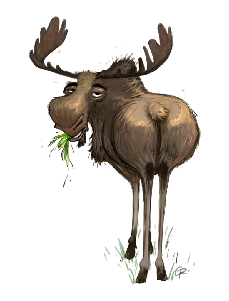 Moose Drawing at GetDrawings Free download