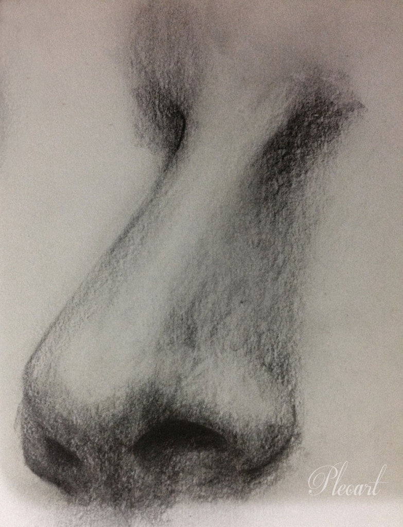 Nose Pencil Drawing at GetDrawings Free download