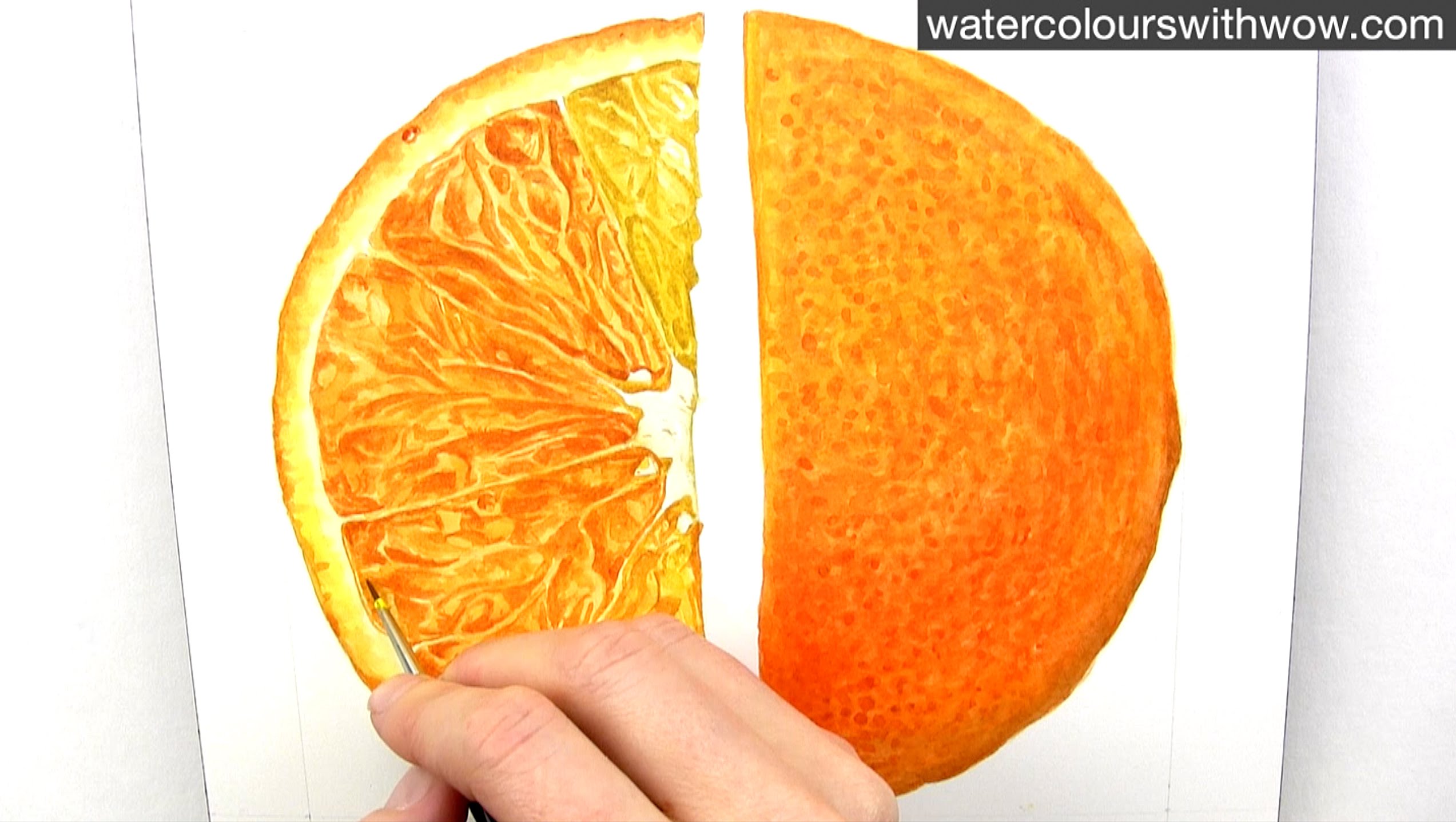 Orange Slice Drawing at GetDrawings Free download