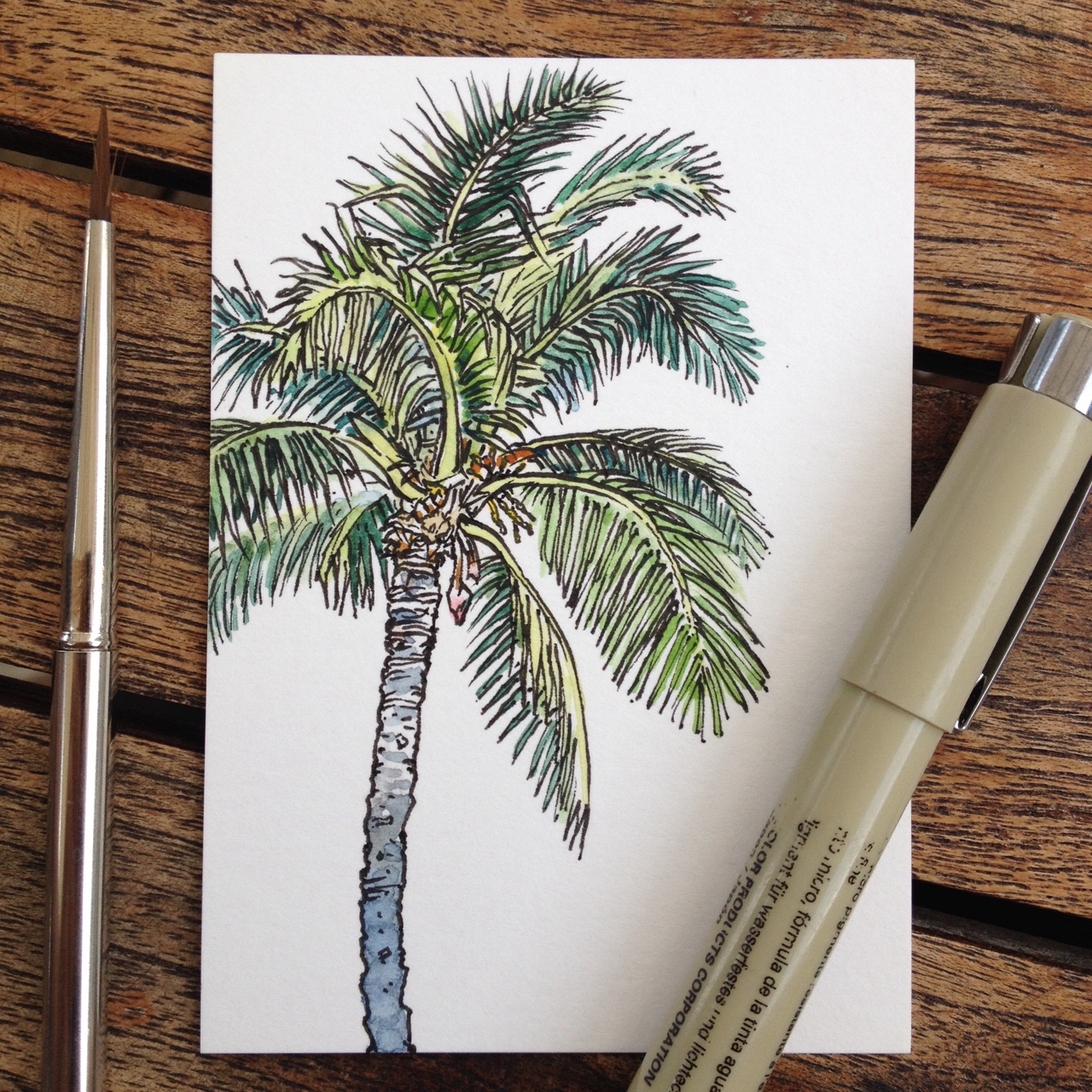 Palmetto Tree Drawing at GetDrawings Free download