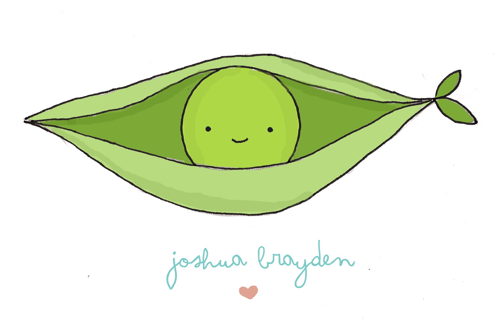 Pea Pod Drawing at GetDrawings Free download
