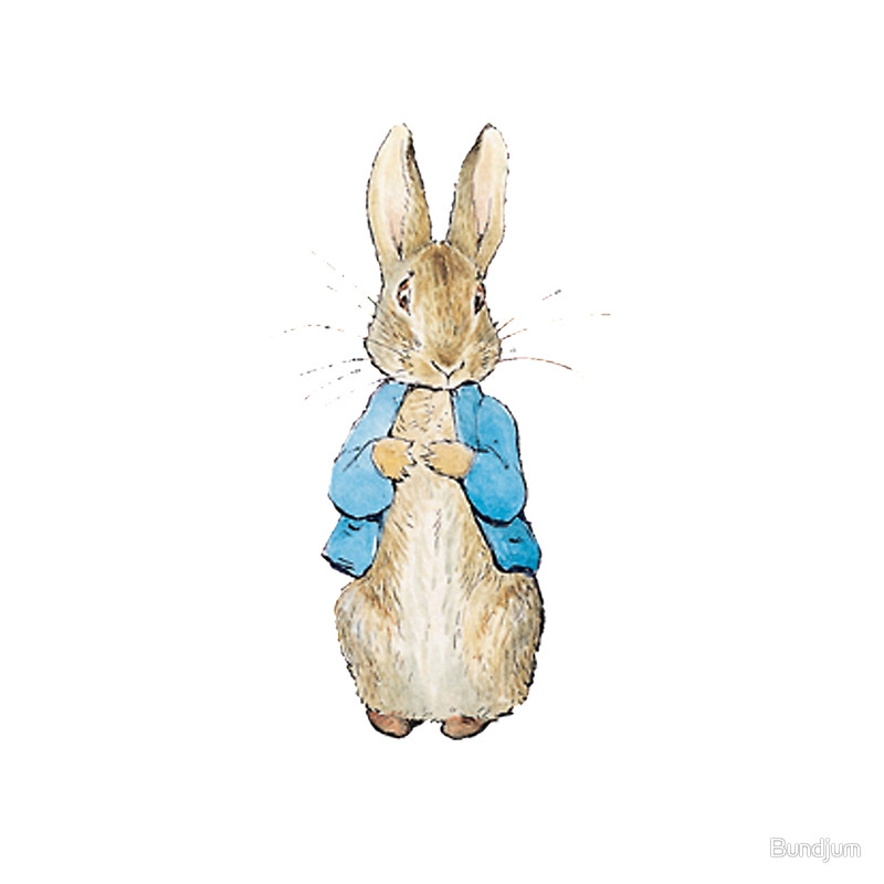 How To Draw Peter Rabbit Step By Step Cartoons Cartoons Draw