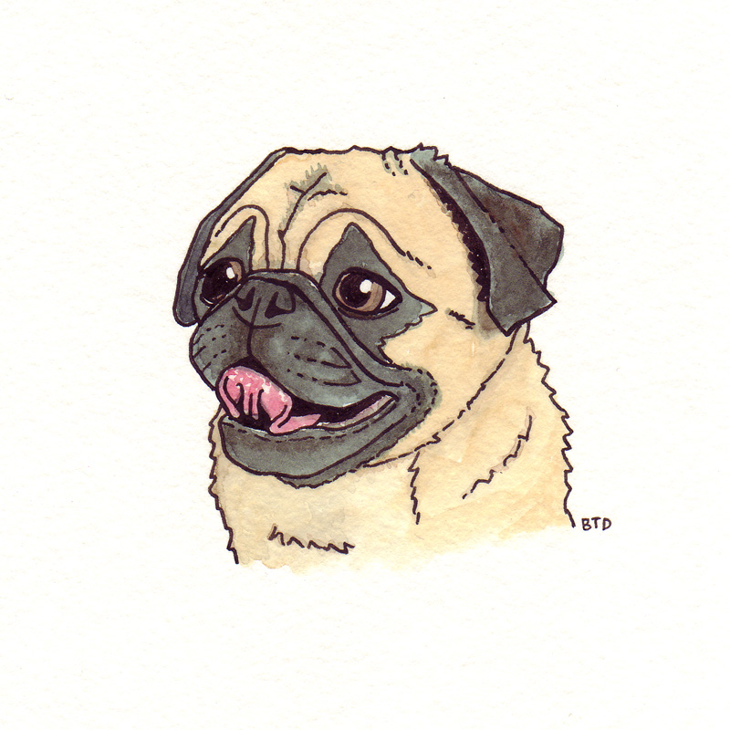 Pug Drawing at GetDrawings Free download