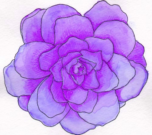 Purple Flowers Drawing at GetDrawings Free download