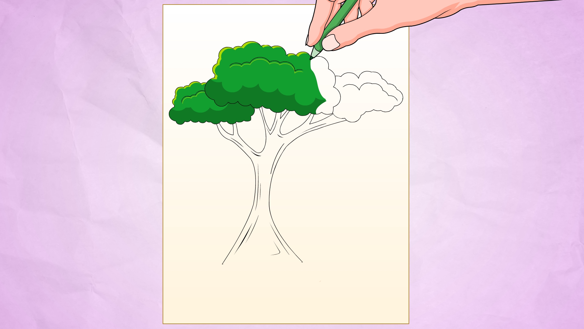 Rainforest Trees Drawing at GetDrawings Free download