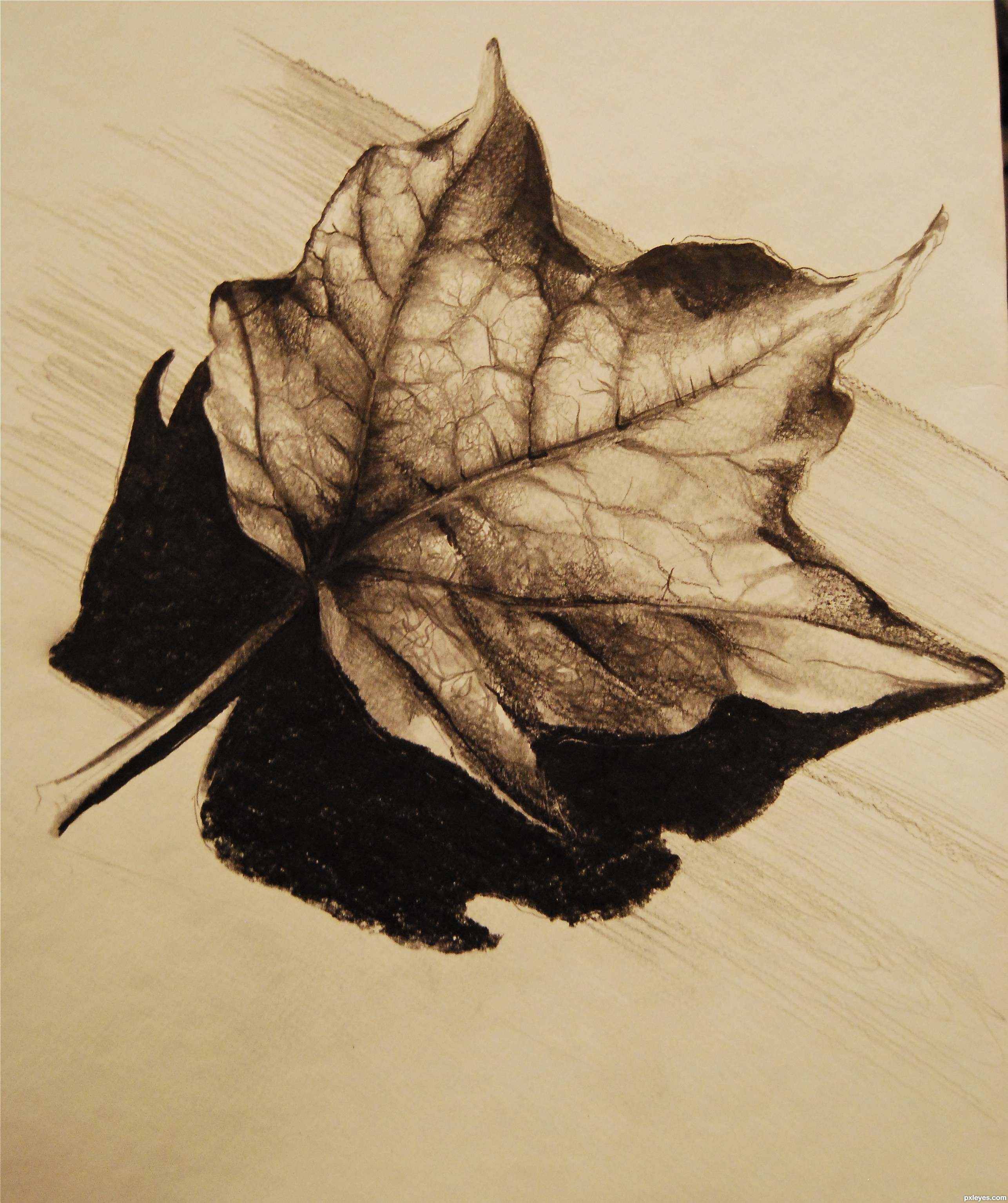 Realistic Leaf Drawing at GetDrawings Free download Realistic Leaf Drawing at GetDrawings Free download