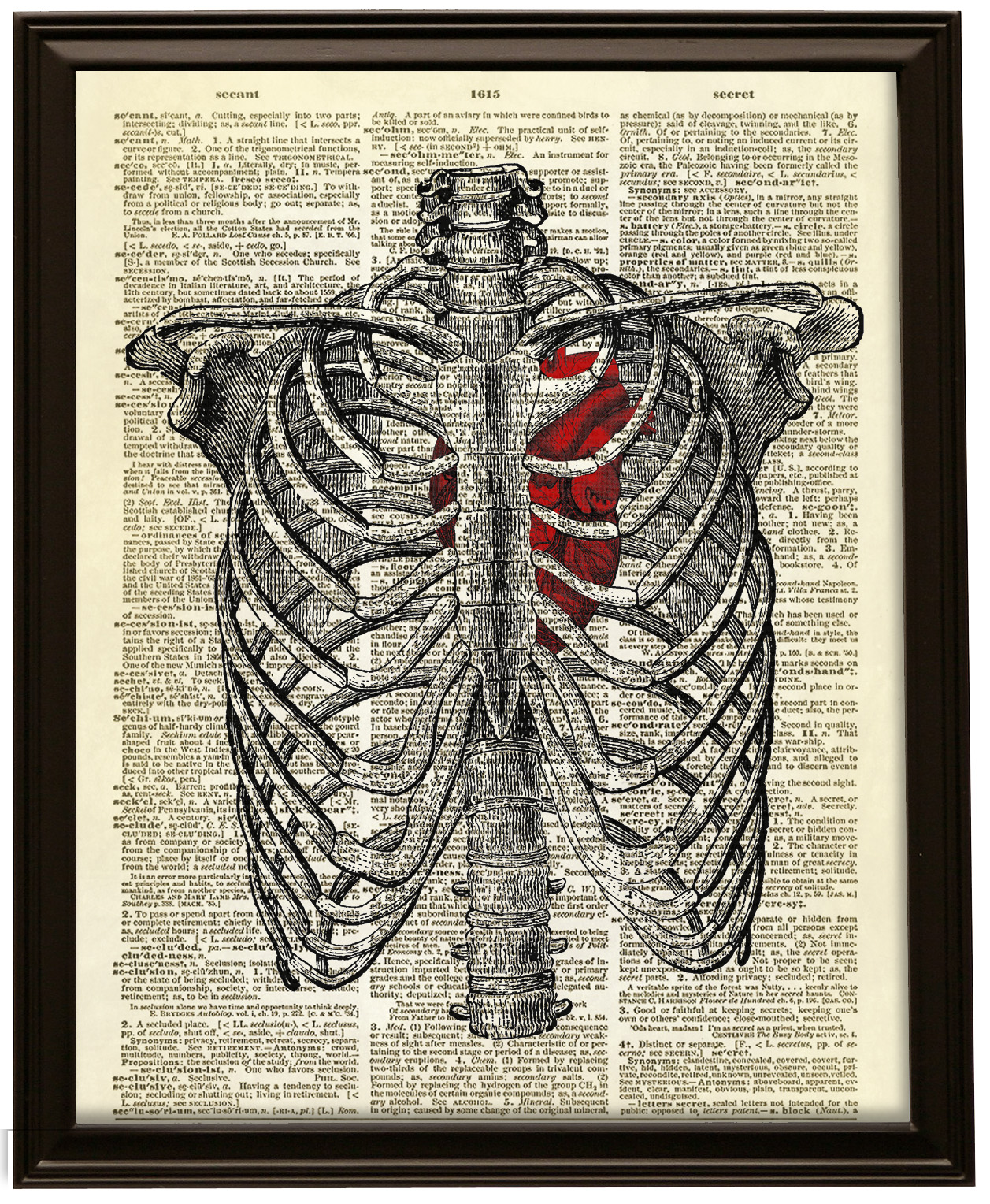 [DIAGRAM] Diagram Of The Rib Cage
