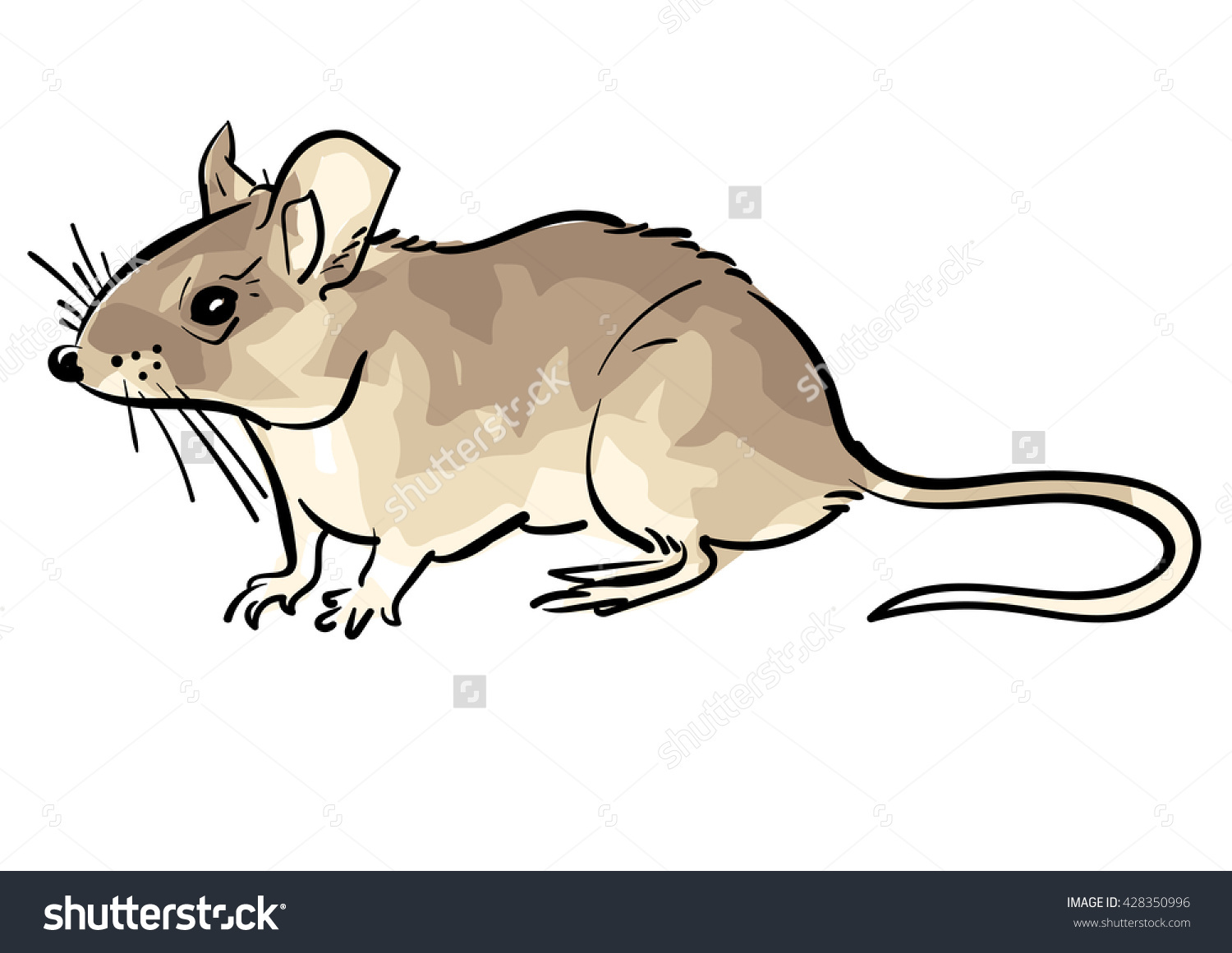 The best free Mickey mouse drawing images. Download from 5565 free