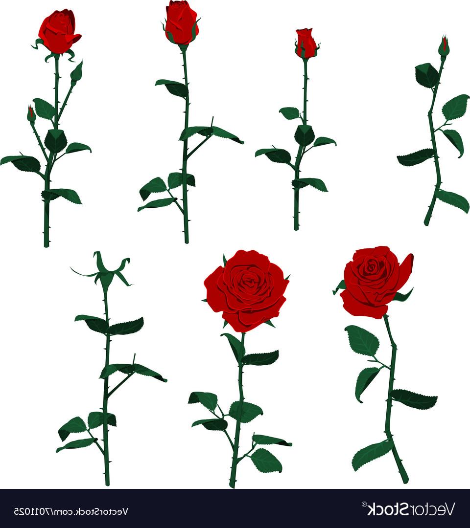 Rose Border Drawing at GetDrawings Free download Rose Border Drawing at GetDrawings Free download