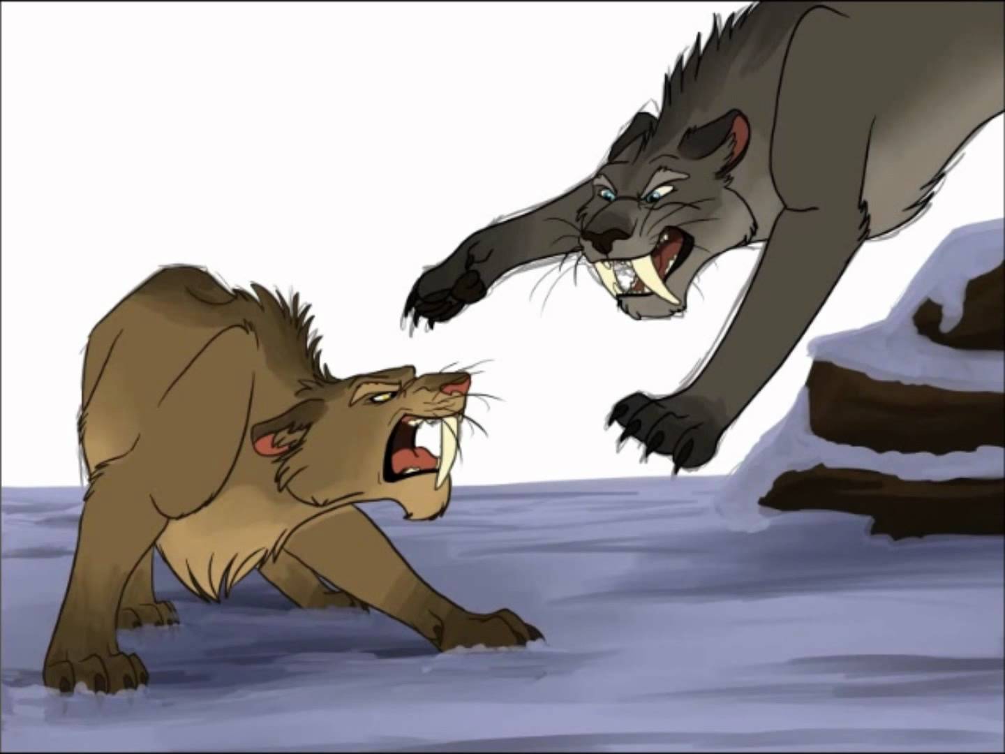 Saber Tooth Tiger Drawing at GetDrawings Free download