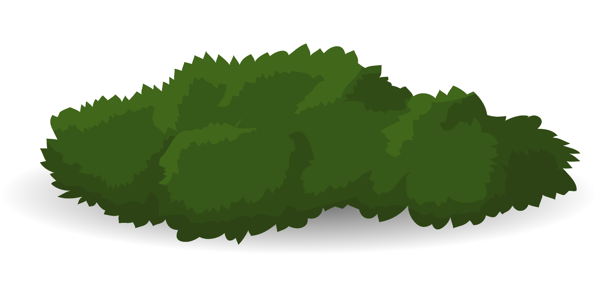 Shrub Drawing at GetDrawings Free download