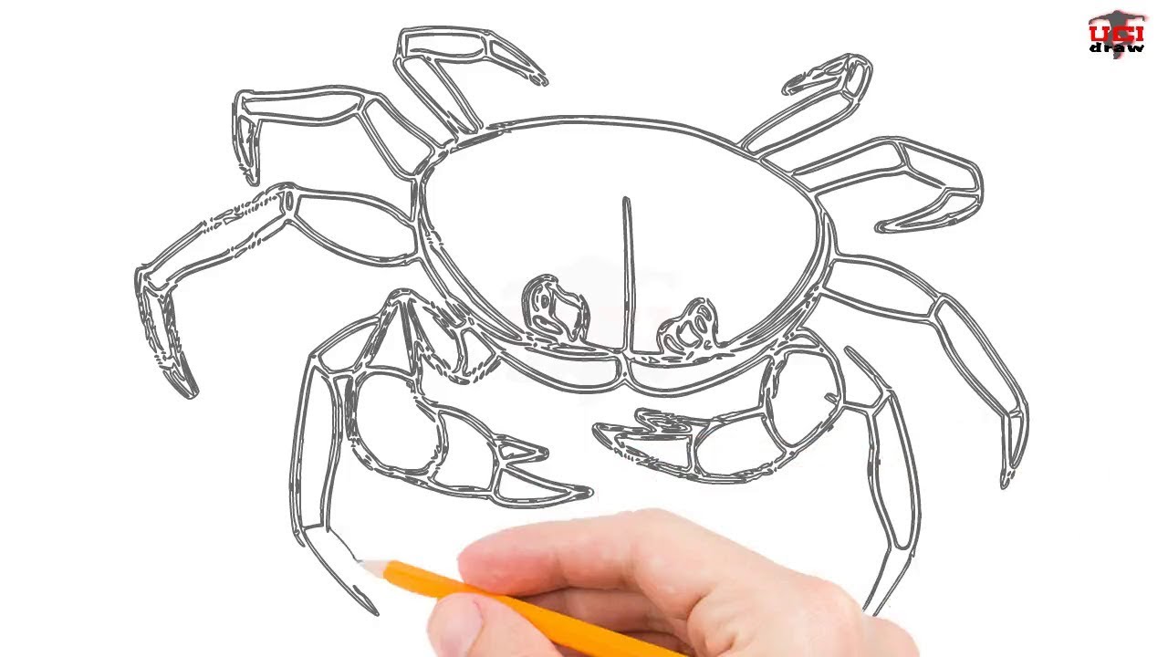 Simple Crab Drawing at GetDrawings Free download