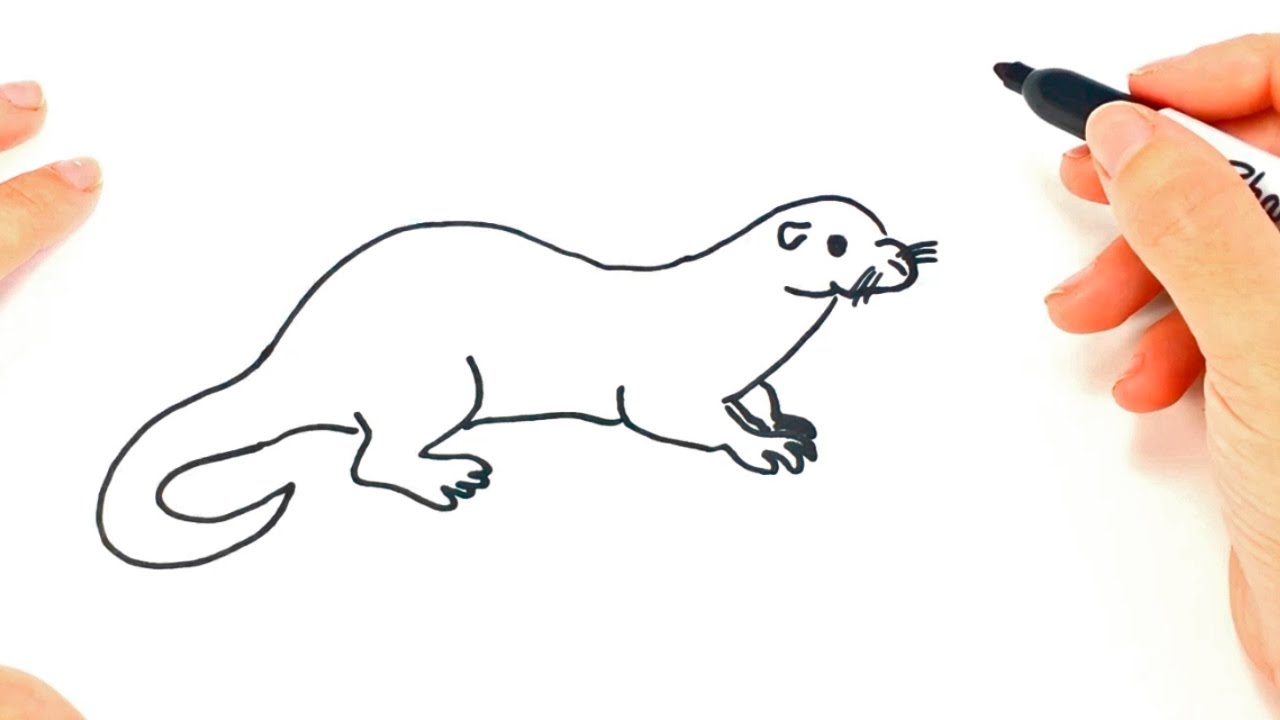 Simple Otter Drawing at GetDrawings Free download
