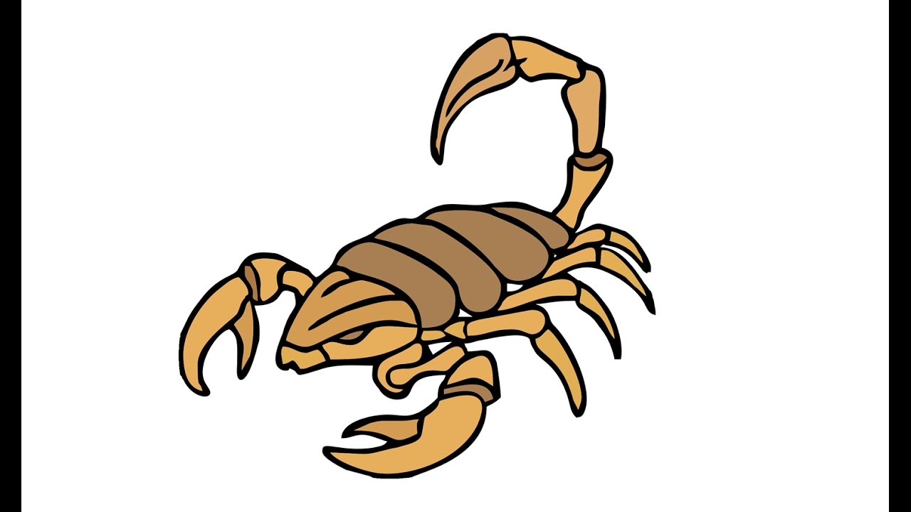 Simple Scorpion Drawing at GetDrawings Free download
