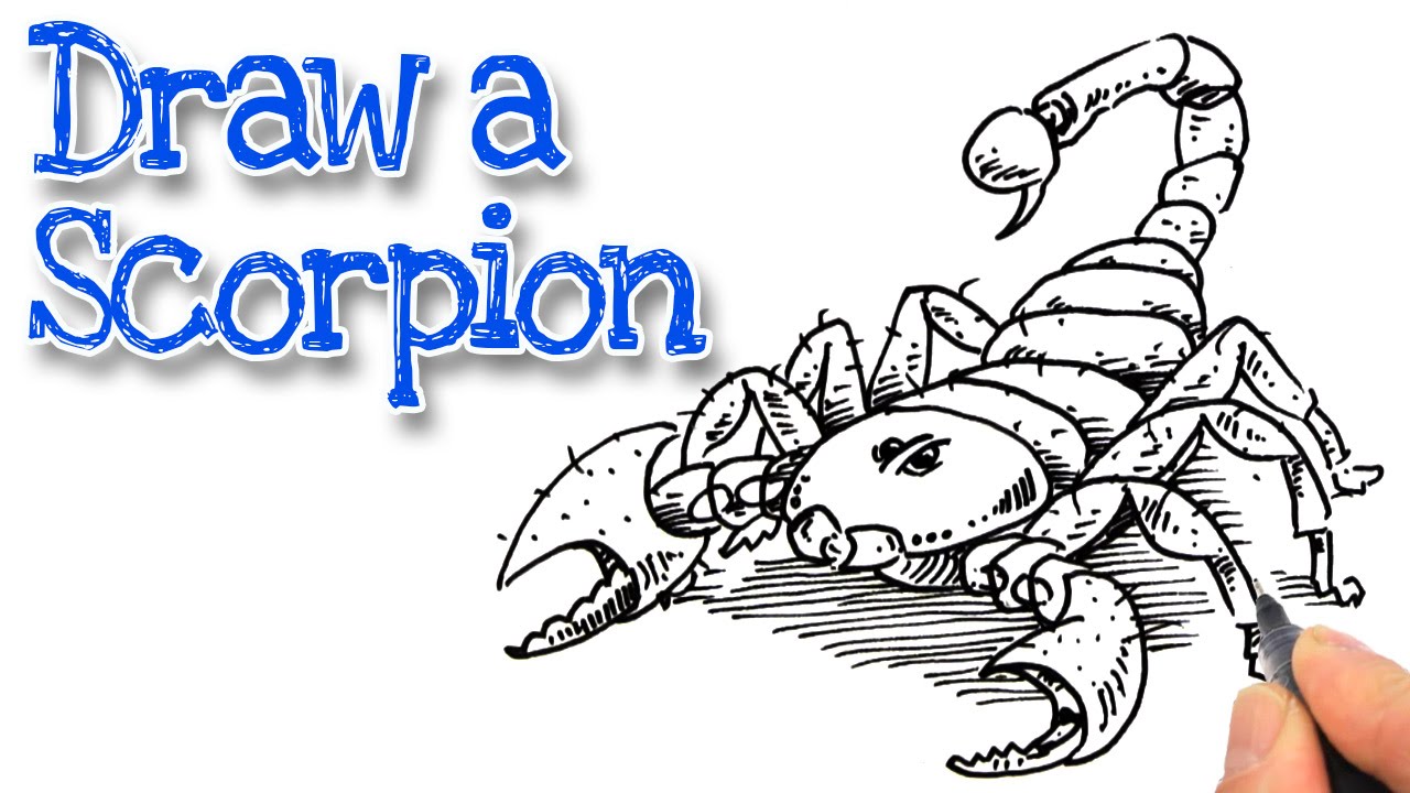 Simple Scorpion Drawing at GetDrawings Free download